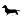 Kleiner Hund