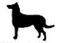 Großer Hund